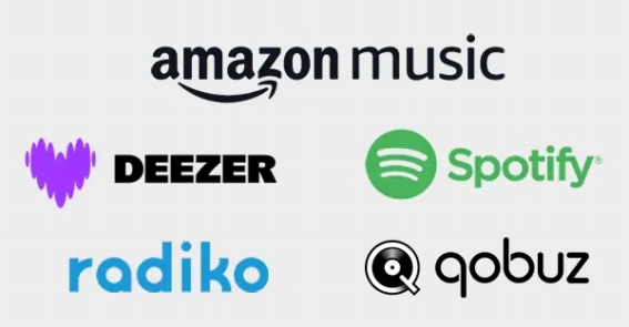 �uAmazon Music HD�v�A�uSpotify Connect�v�Ή��ȂǁA�[�������l�b�g���[�N�@�\