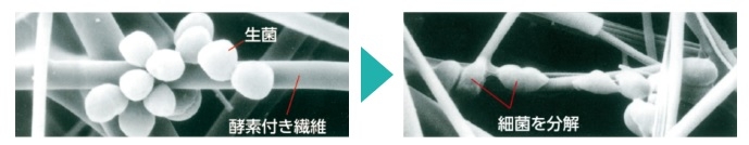 �׋ۂɑ΂������