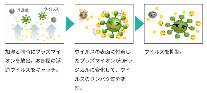 �׋ۂɑ΂������