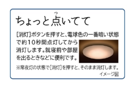 �����@HITACHI�@�k�d�c�V�[�����O�Ɩ��@�r�b�N�J�����O���[�v�I���W�i�����f���@�h���\��