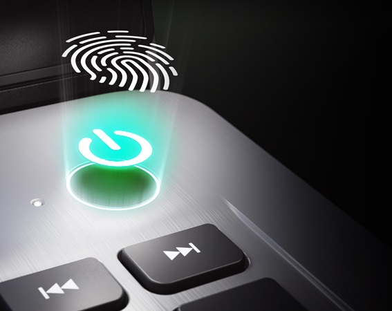 �e�����[�N�ł����S�E���K