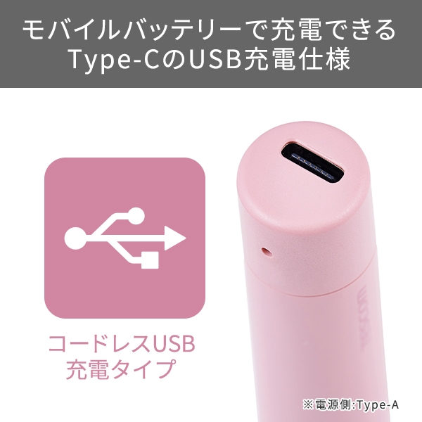 �r���[�e�B�[�E���N�Ɠd �t�F�C�X�P�A �z�b�g�r���[���[ �e�X�R���@TESCOM  TK350A P USB�[�d���z�b�g�r���[���[ elims me �����e�B�s���N