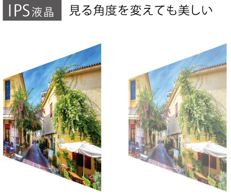 �΂߂��猩�Ă��F�����̕ω������Ȃ��uIPS�t���v