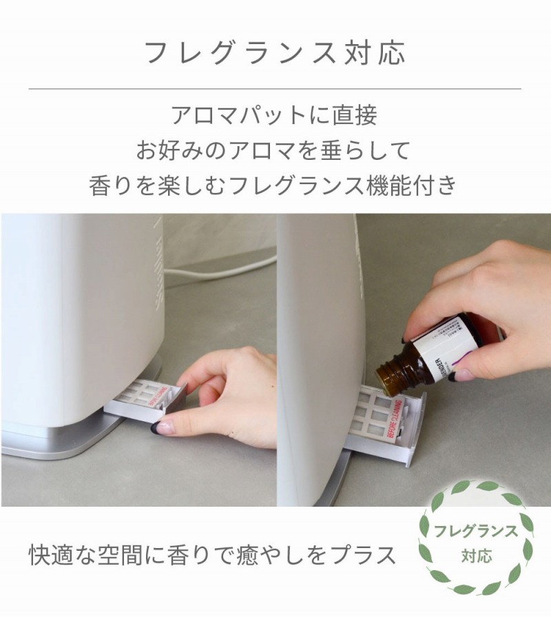 �t���O�����X�Ή�