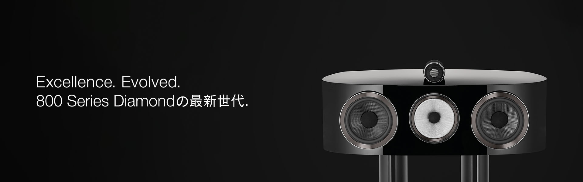 HTM82 D4 �\ 800��DNA_01.jpg