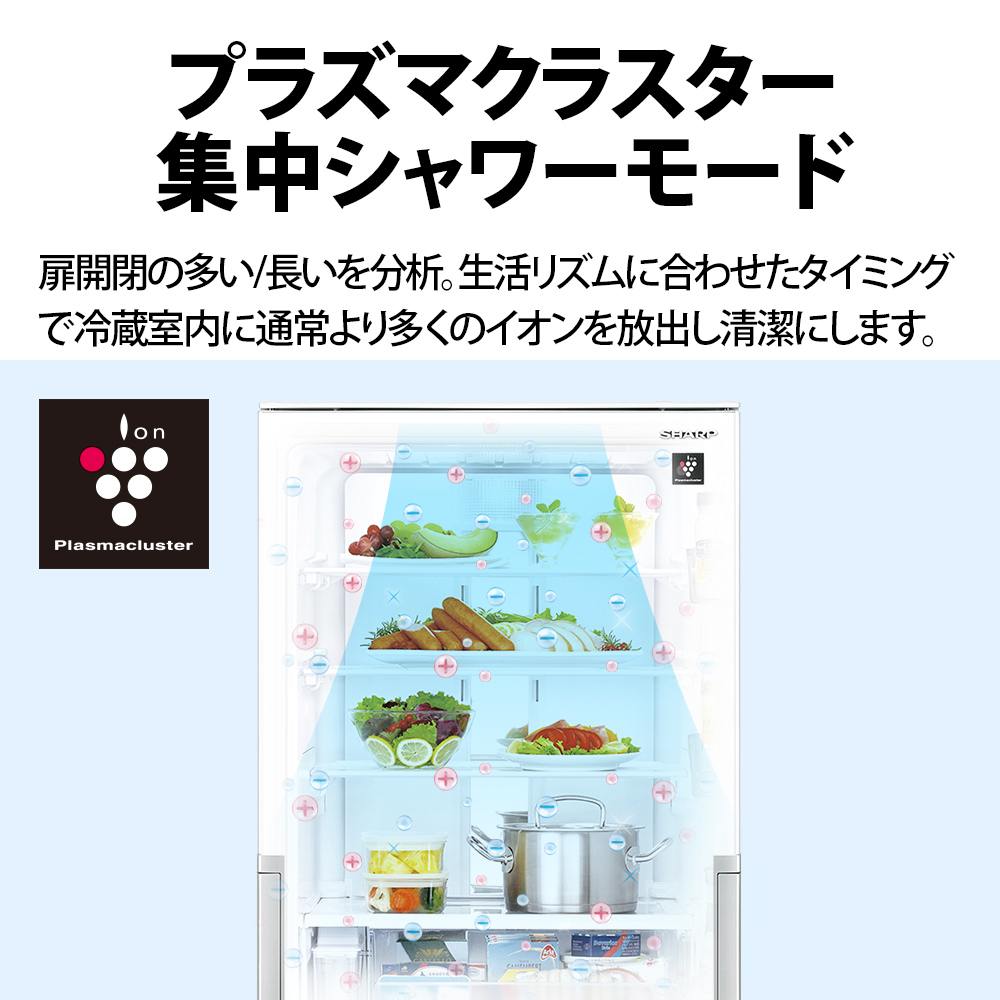 �v���Y�}�N���X�^�[