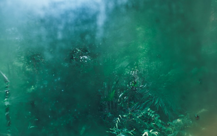 �l����鎼�x