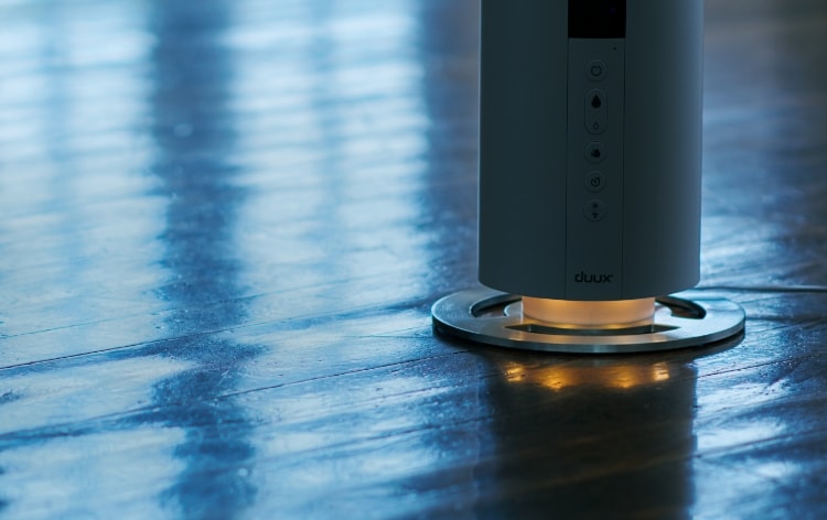 �A���X�e���_���̌�