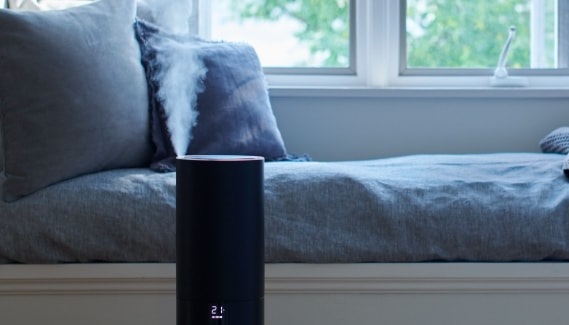 �����Ȓ����g��