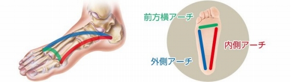 �����́A�A�[�`�\���ő̂��x���Ă���