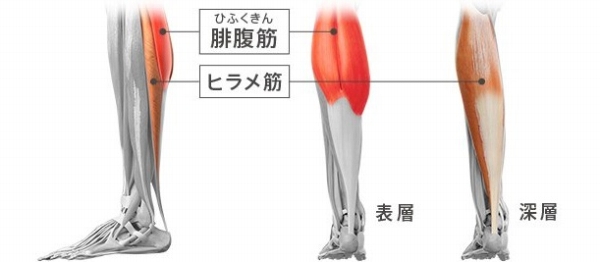 �����d���������ςȂ��Ŕ�ꂪ���܂�r�̔Y�݂�