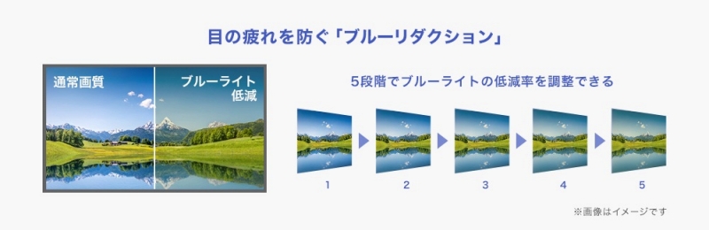 �t���f�B�X�v���C���̂Ńu���[���C�g��ጸ������u�u���[���_�N�V�����v