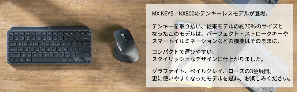 MX KEYS/KX800̃eL[XfoB