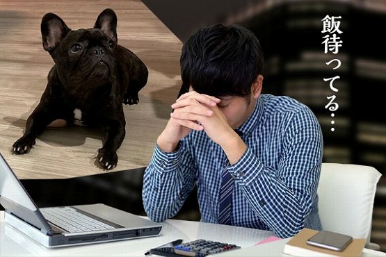 �}�ȃA�N�V�f���g�ŋA��Ȃ�����