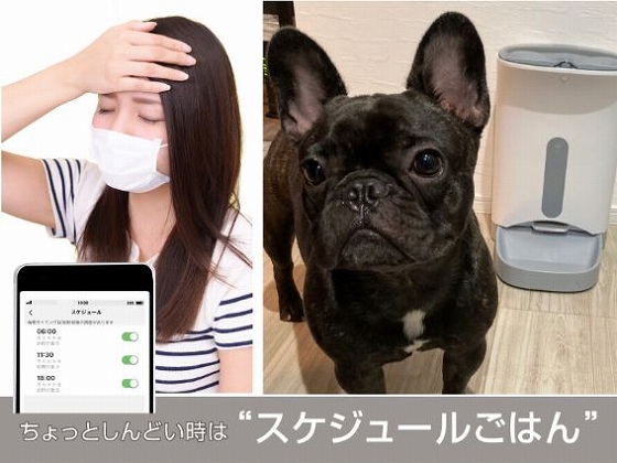 �X�P�W���[�����͂�