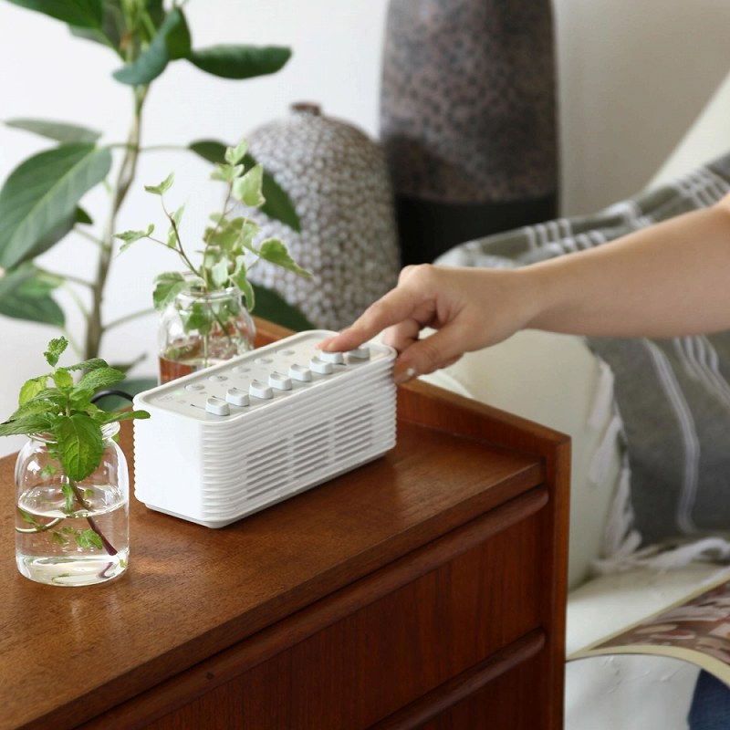 ���������̉��𒲍�