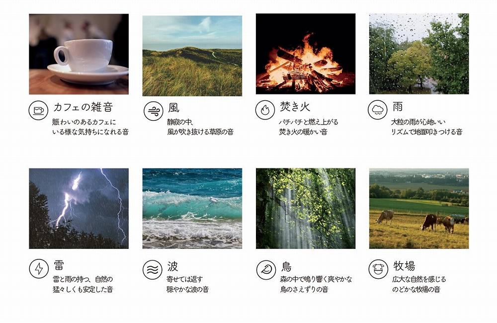 8��ނ̊���