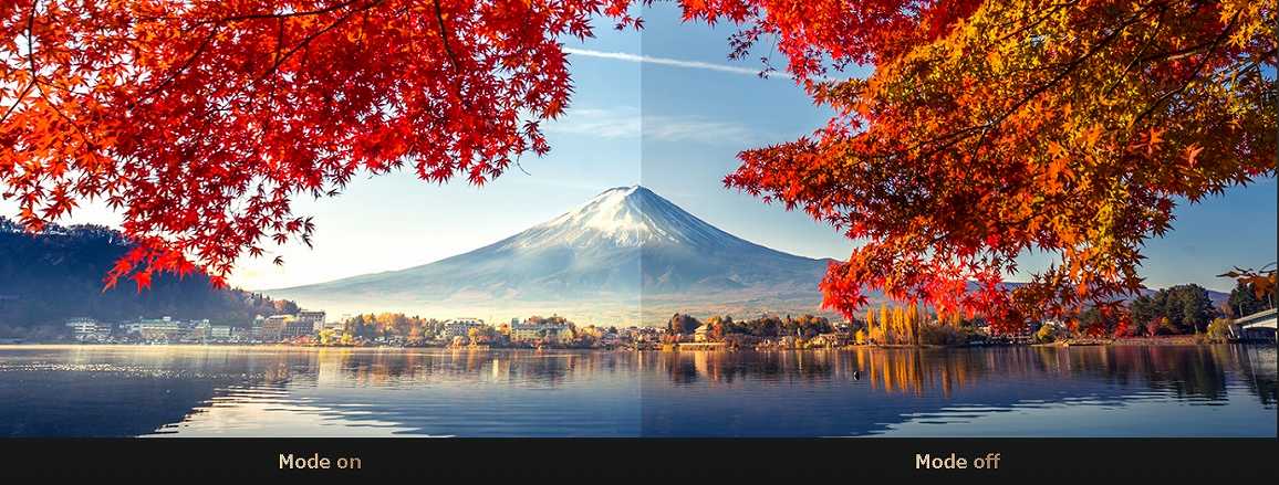 �F���f��������