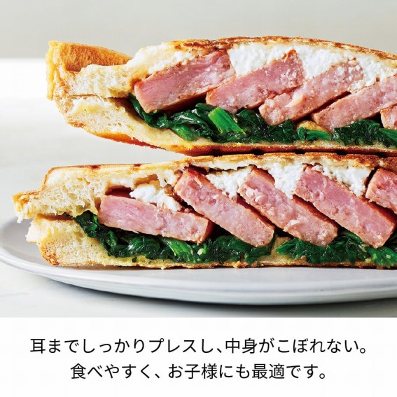 ���܂ł�������v���X���A���g�����ڂ�Ȃ��B