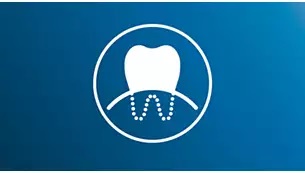 ���������P�A