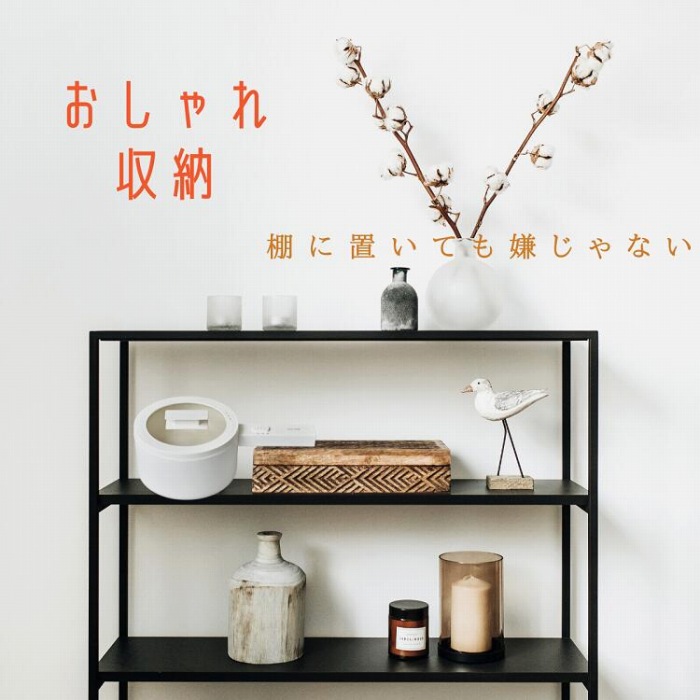 ���������[