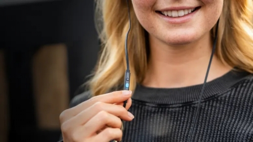 �C�����C���}�C�N�Ɠ������ꂽ�R���g���[��