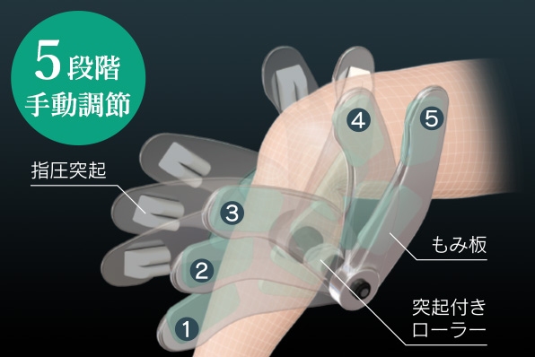 5�i�K�蓮����