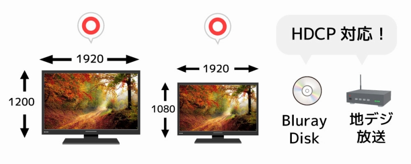 ���C�h�f�B�X�v���C�AHDCP�ɂ��Ή�