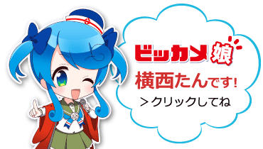 �r�b�J���� ��������