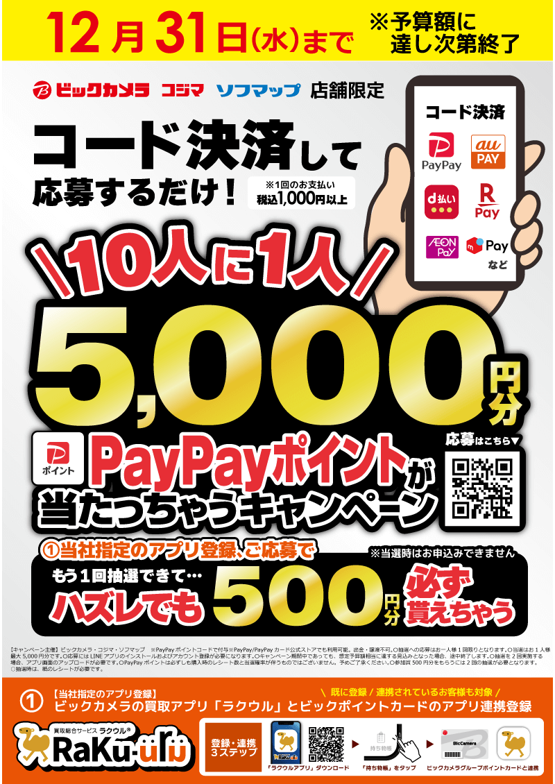 �R�[�h���ς��ĉ��傷�邾����PayPay�|�C���g���������Ⴄ�L�����y�[��