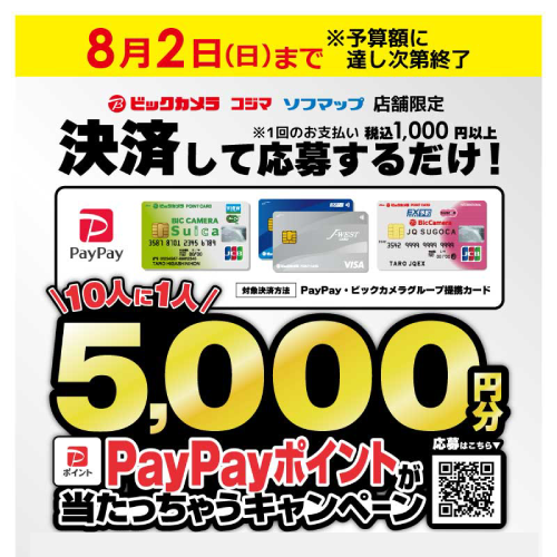 10�l��1�l5,000�~��PayPay�|�C���g�����������Ⴄ�L�����y�[��
