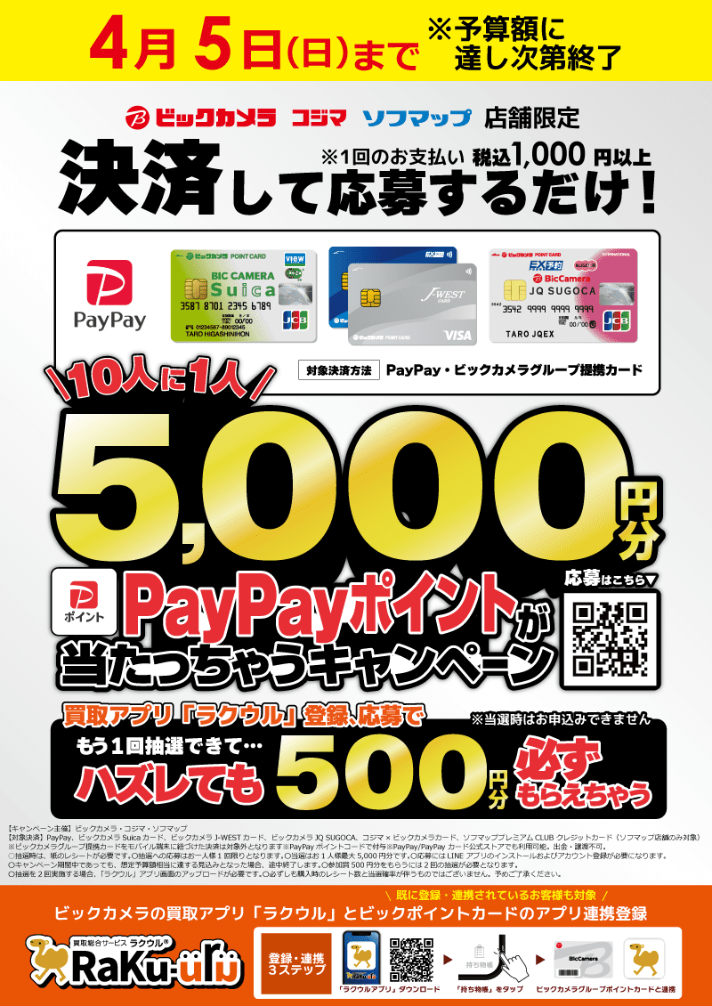 5,000�~��PayPay�|�C���g�����������Ⴄ�L�����y�[���I