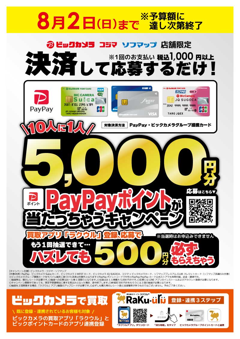 10�l��1�l5,000�~��PayPay�|�C���g�����������Ⴄ�L�����y�[��