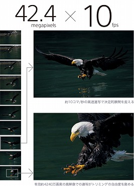 ����I�u�Ԃ𓦂��Ȃ�AF/AE�ǐ��ō���10�R�}/�b�̍����A��