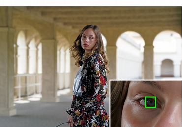  �_������ʑ̂𑨂��ė����Ȃ��A����I�ɐi���𐋂���AF���\