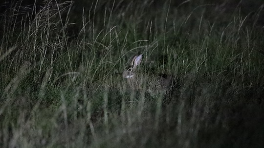 ���W_�J����_�L���m��_EOS_R_12