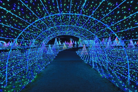 特集_カメラ_夜景・イルミネーション_02