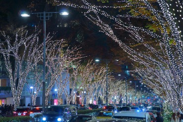特集_カメラ_夜景・イルミネーション_10(電球)