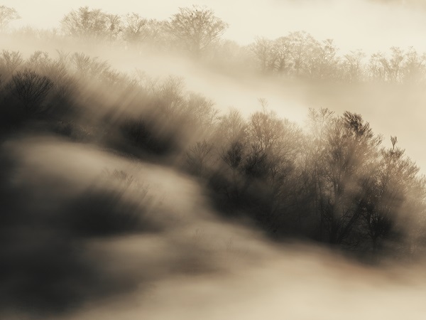 OLYMPUS OM-D E-M1 Mark III 作例