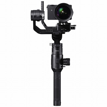 SIGMA fp WoX^C