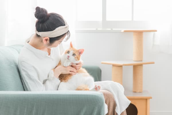キャットタワーのタイプ 据え置きタイプ