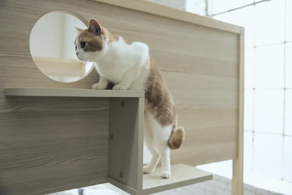 �L���b�g�^���[�̃^�C�v �ؐ��E�C���e���A�^�C�v
