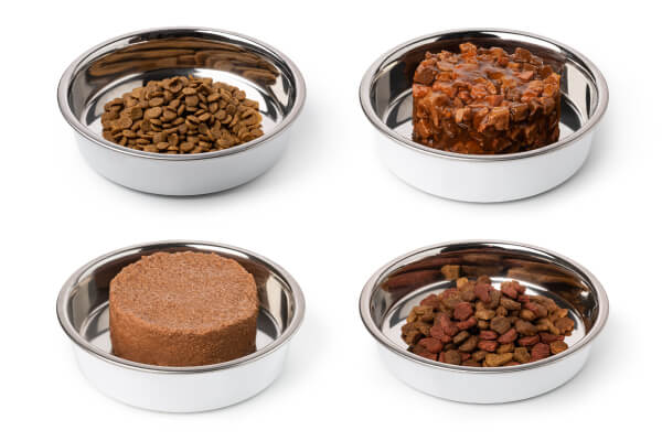 �h�b�O�t�[�h�̎��