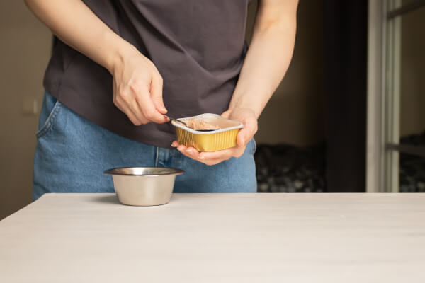 �h�b�O�t�[�h�̑I�ѕ� �`����`�F�b�N �E�F�b�g�t�[�h