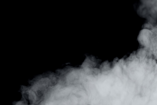 �d�C�P�g���̑I�ѕ� ���S�@�\���`�F�b�N ���C���X�\��