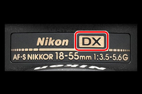 Nikonの一眼レフカメラの選び方 イメージセンサーで選ぶ 望遠に強いAPS-CのDXフォーマット