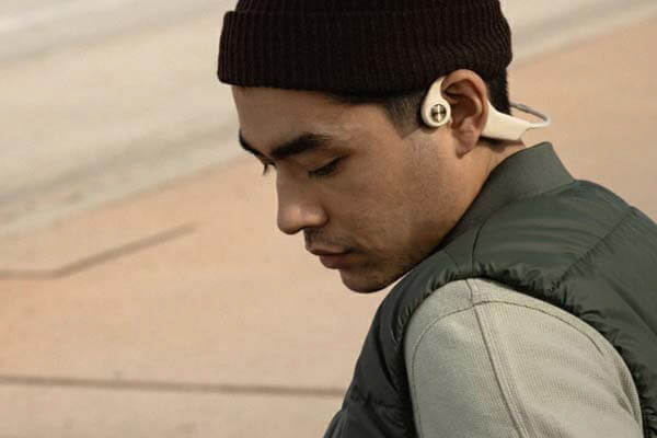 ǂȂCz̑Iѕ ނ`FbN `^