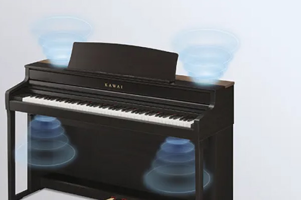 �d�q�s�A�m�̑I�ѕ� �������`�F�b�N �Տꊴ���鉉�t�Ɋւ��X�s�[�J�[�̐�