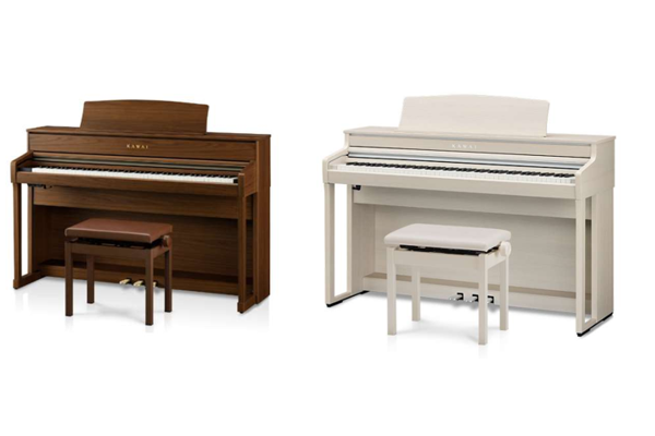 �d�q�s�A�m�̒�ԁE�l�C���[�J�[ �J���C�iKAWAI�j