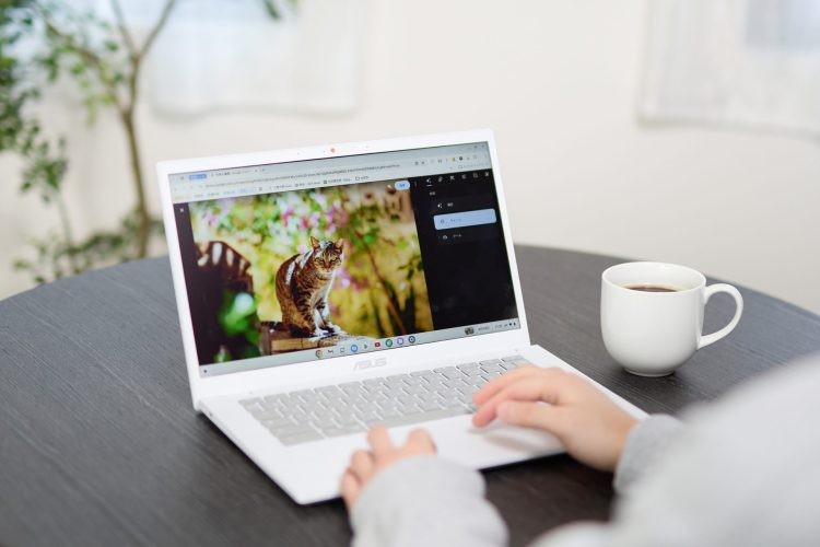 �ʐ^�⓮��ҏW�����Ȃ���D�ꂽ�X�y�b�N��